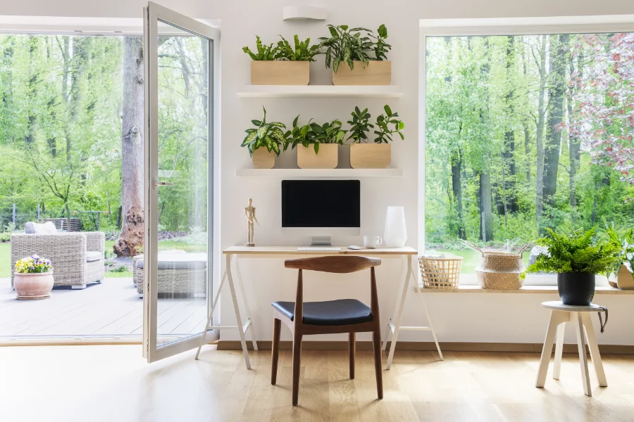Een groenere thuisomgeving creeern het belang van planten in je interieur