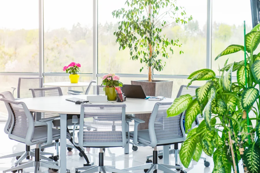 Het transformeren van je kantoorruimte met groen kiezen voor kantoorplanten