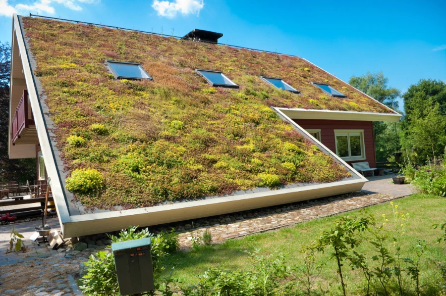 Duurzaam dekken: de kunst en wetenschap van dakdesign