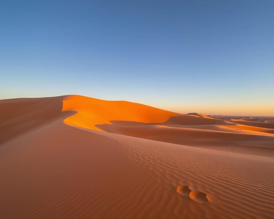 Ontdek de zandduinen van de Namib-woestijn