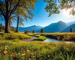 Wat brengt een dag in de natuur je echt?