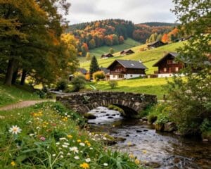 Welke verborgen parels zijn er in de Belgische Ardennen?