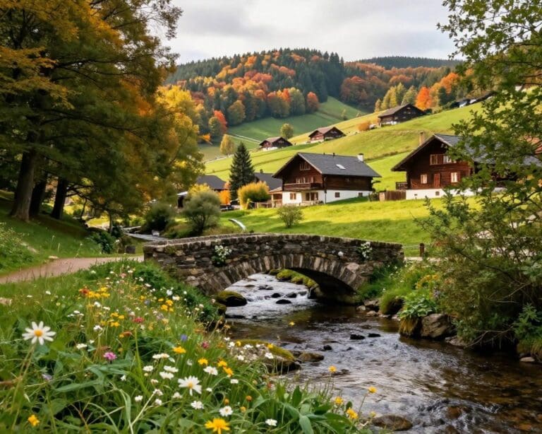 Welke verborgen parels zijn er in de Belgische Ardennen?